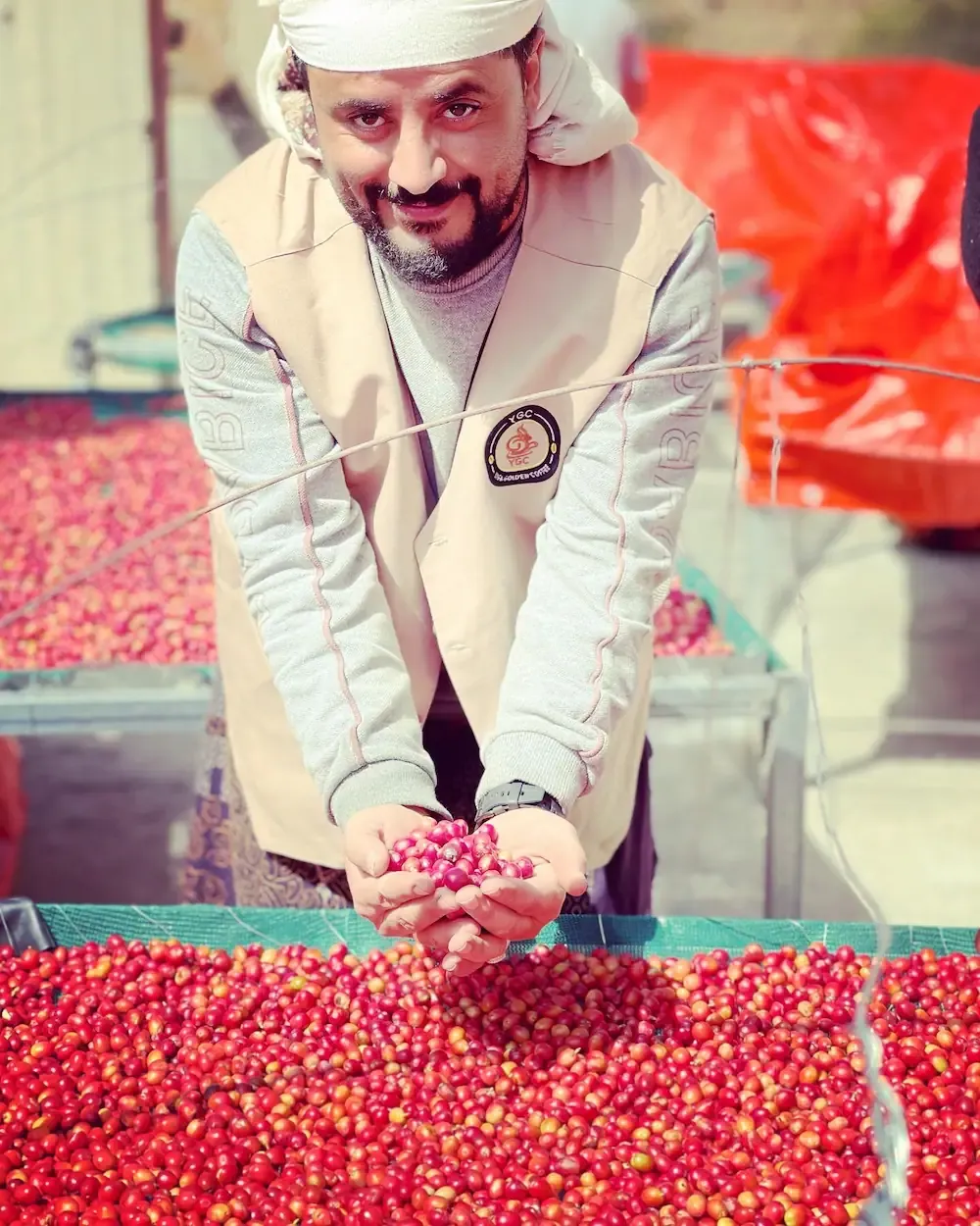 Yemen Yafa Coffee Story Image